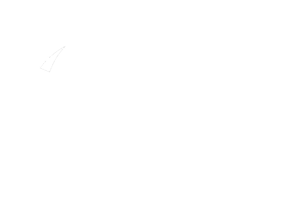 NARA Inc.